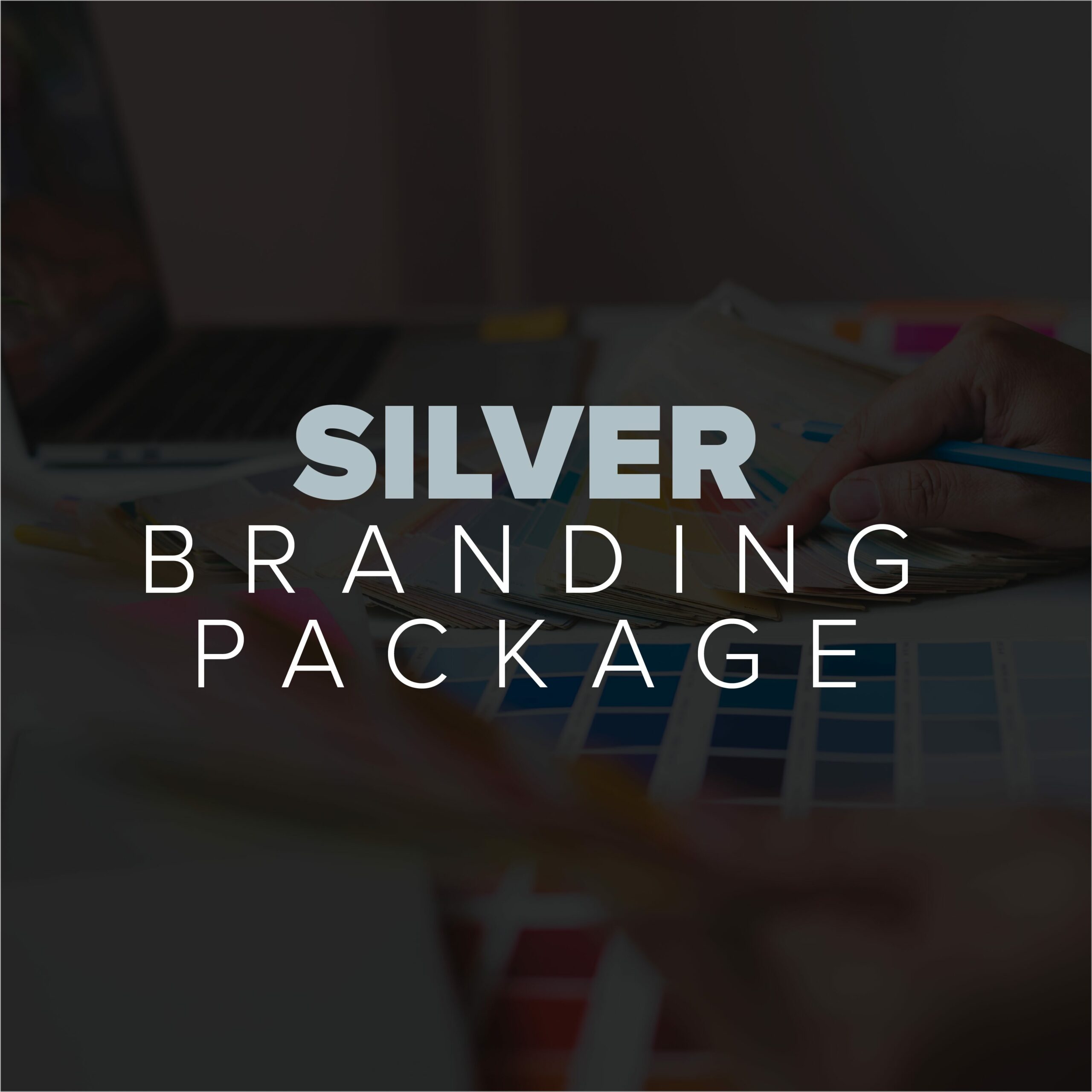 Silver Branding Package for professional brand identity