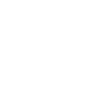 THUNDER signage, style 3006, blue-black with bold typeface